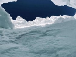 NoXɗXm[{[_[AiPhoneً̋}SOS@\3GŖyGadget Gatez