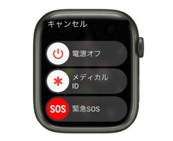 iPhone 14()͉qʐMΉAOłSOSMłƂ\yGadget Gatez