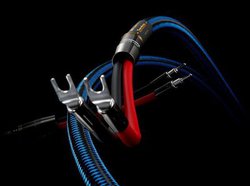 �]�m�g�[������_�ɐi��������3��̐V����X�s�[�J�[�P�[�u���A���̂�������3�l�̕]�_�Ƃ�������