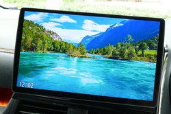 gXg[_jŏ㋉h̉掿̓zmH 10V^̑ʃJ[iruCN-F1X10BDvr[