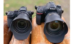 x̍ۗtTCY@AjRuZ 5vuD780vʃr[