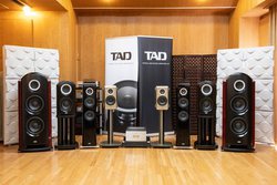 �܂��Ɂg�����t�̗Տꊴ�h�B�W���p�j�[�Y�E�n�C�G���h�̏��ATAD�����ݏo����ԕ`�ʐ��Ɋ���