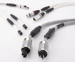 �]�_�Ƃ̎���ɂ��̗p�I�@�@��̓������X�g���[�g�ɕ\������e�B�O�����g2000�V���[�Y�h