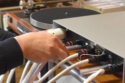 �g�m�C�Y�E�|���v�h�̓A�i���O�ɂ������I�O���E���h�A���C���p���[�A���C�������邲�Ƃɕω����[�܂�