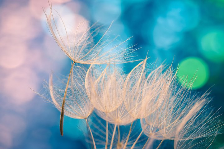 RpNg璅SnKI^yʂȊSCXCz5I