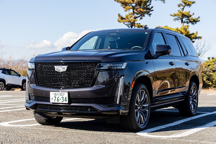 ꂼAJEh[ILfbNEGXJ[hAAKGƖڎwɂ̃OWA[EI[fBI