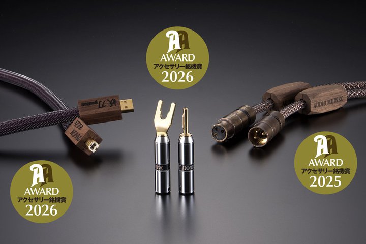 �I�[�f�B�I�݂��񂱂̃x�X�g�Z���[�B�u�d��USB�v�ƁuSILVER BULLET�v�̎g�����Ȃ��`�F�b�N�I