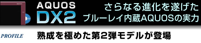 ���ʌ��o��