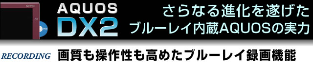 ���ʌ��o��