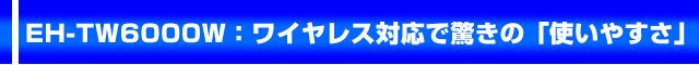 EH-TW6000W:���C�����X�Ή��ŋ����́u�g���₷���v