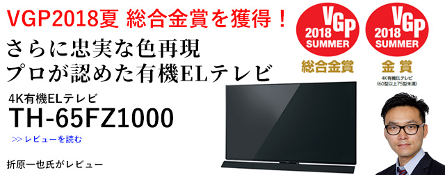 vF߂L@ELer VIERA FZ1000