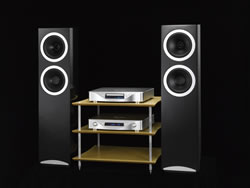 トールボーイの「DC8 T」とも組み合わせ試聴を行った