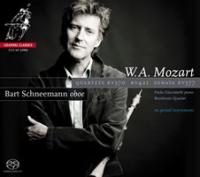 スーパーオーディオCDソフト総カタログ